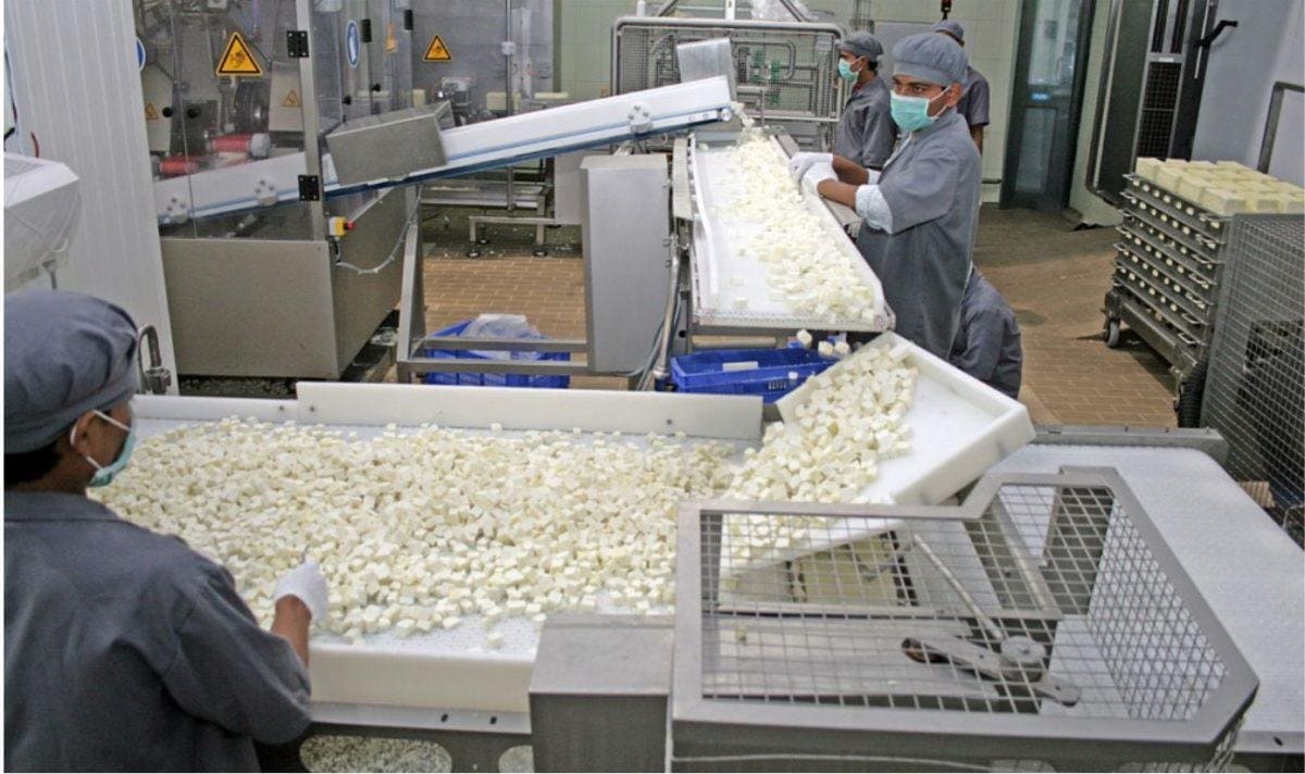 Food production