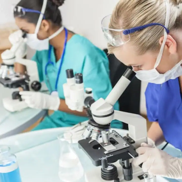 Research & Audit