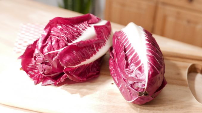 Beitragsbild Radicchio Treviso