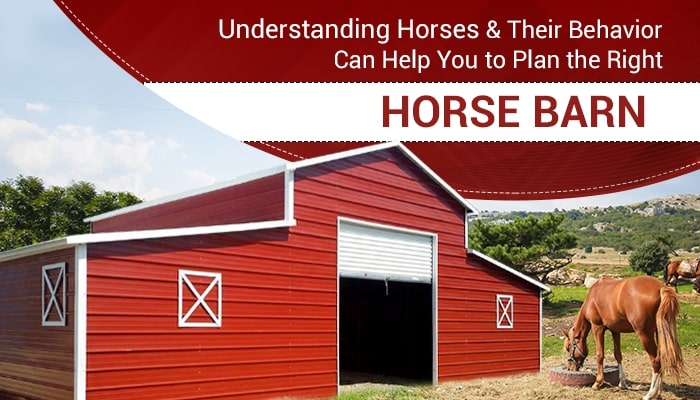 Understanding Horses & Their Behavior Can Help You to Plan the Right Horse Barn