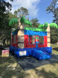 IMG 2434 1754838462 Tropical