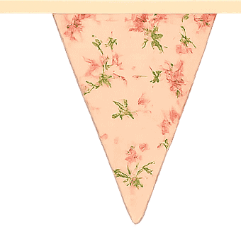 bunting flag
