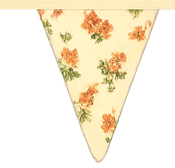 bunting flag
