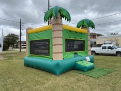 9DFD8E39 1978 483A A5AE E8839FD5B763 1633491482 Palm Tree Bounce