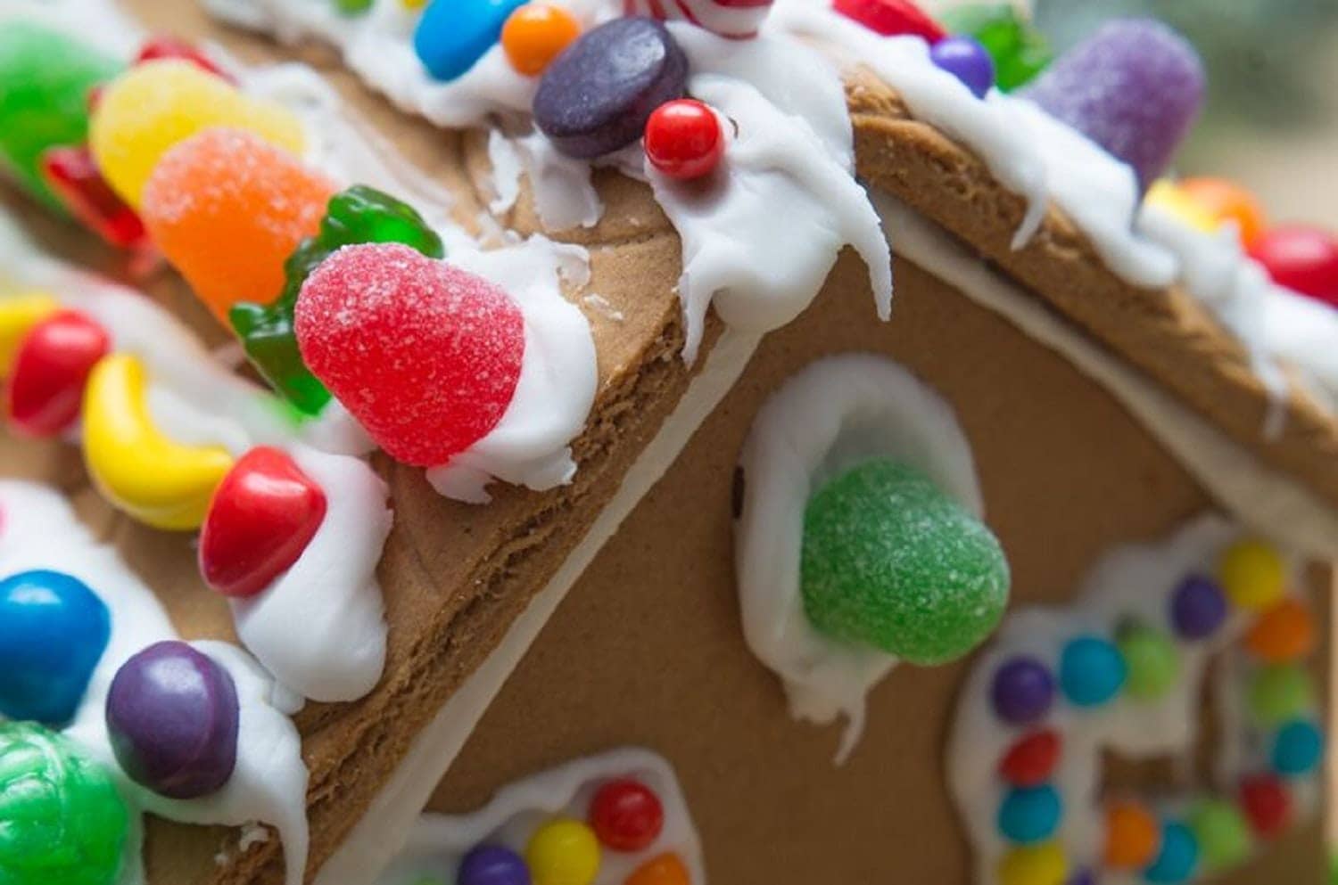 Fox Park Winter Movie & Gingerbread House Build