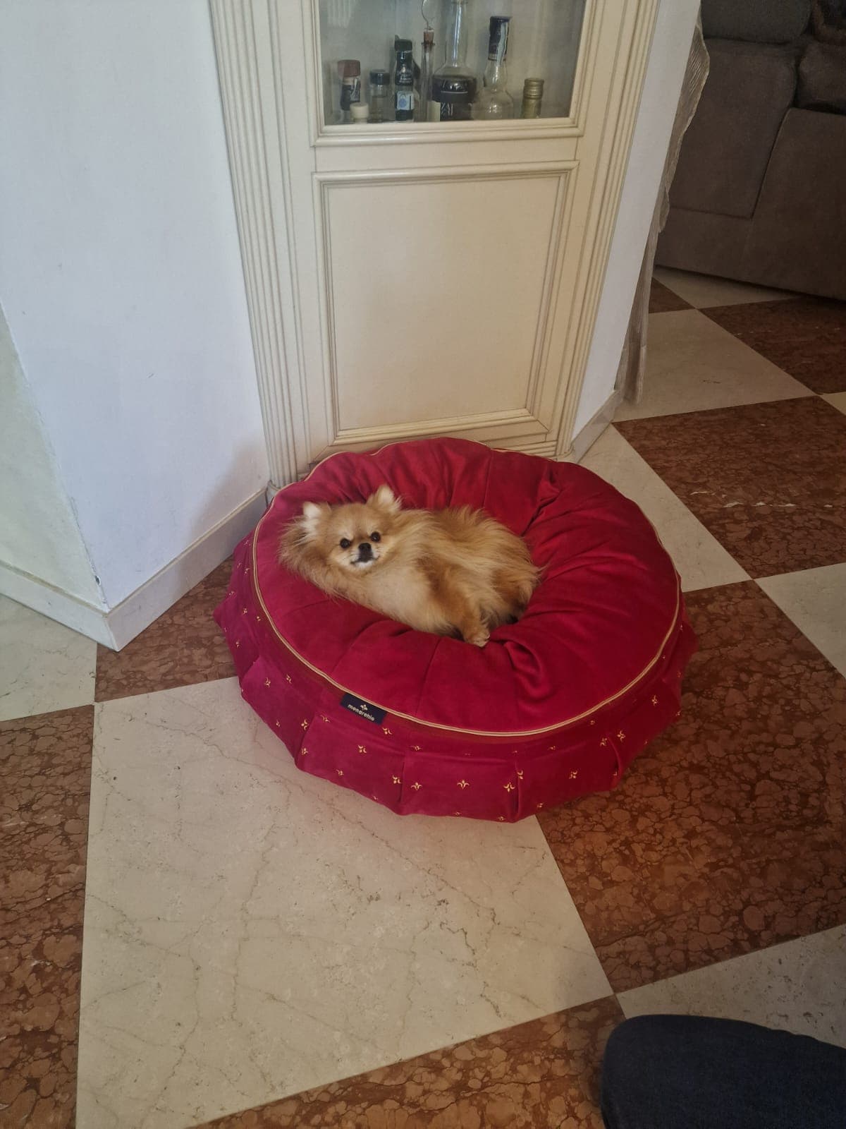 Portia