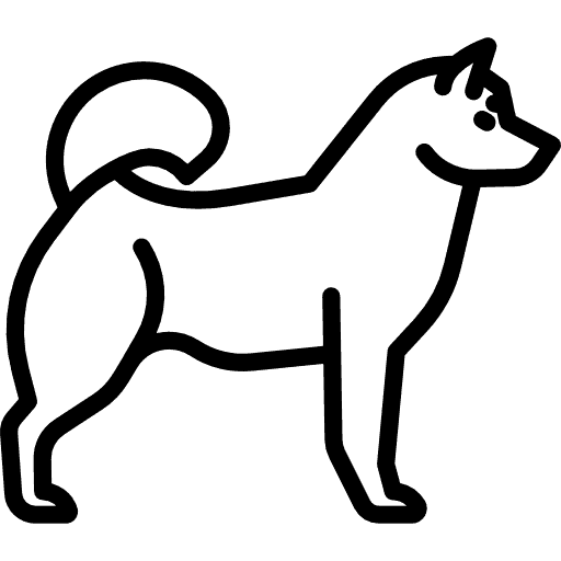 Veľkosť L