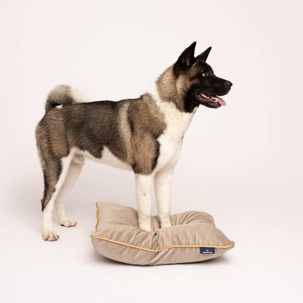 Belvedere Cushion - Sandstone, pet bed, dog bed