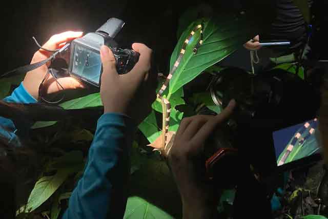 Intern entering field data at a research base in Costa Rica
