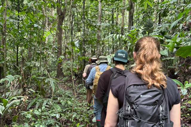 Volunteers doing wildlife research in a Costa Rican rainforest