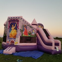 20171007 184741 1621631638 Princess Castle Bounce House Combo (Dry)