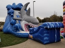 20171031 174029 1644354034 Shark Slide (Wet)