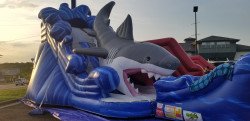 Shark Slide (Dry)