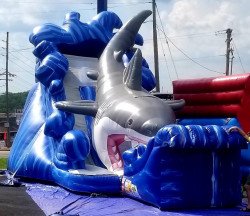 SHARK20SLIFE 1686151126 Shark Slide (Dry)