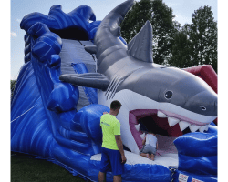 Untitled20design2011 1645133740 Shark Slide (Wet)