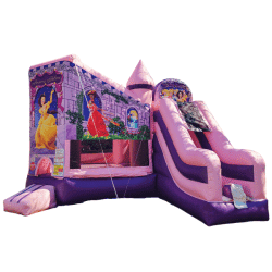 Princess Castle Bounce House Combo (Dry)