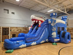 Shark20Bouncer20in20Springfield20MO 1741121957 Shark Attack Combo (Wet)