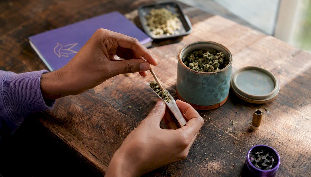 Hands packing cannabis into pre-rolled cone