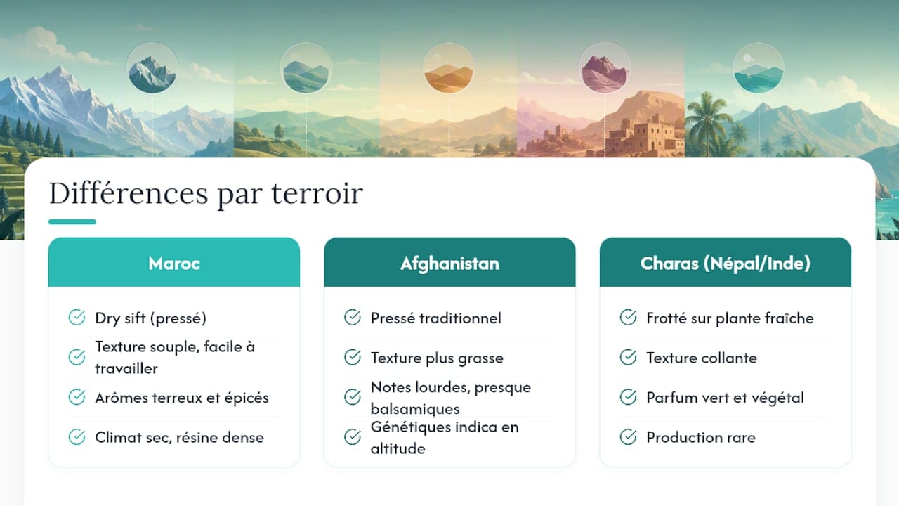 Le terroir marocain, afghan et népalais influence-t-il vraiment le hash ? — overview diagram