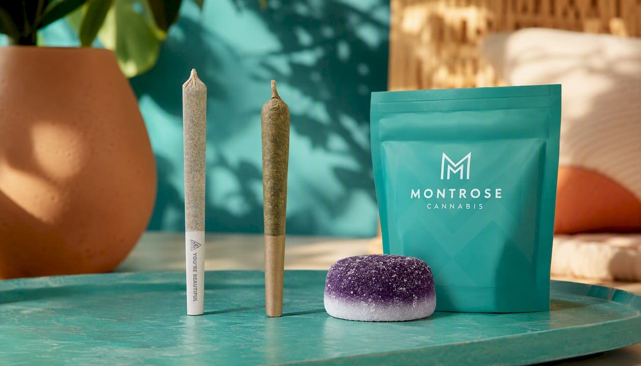 BC Organic Dancehall Pre-Rolls 3 Pack