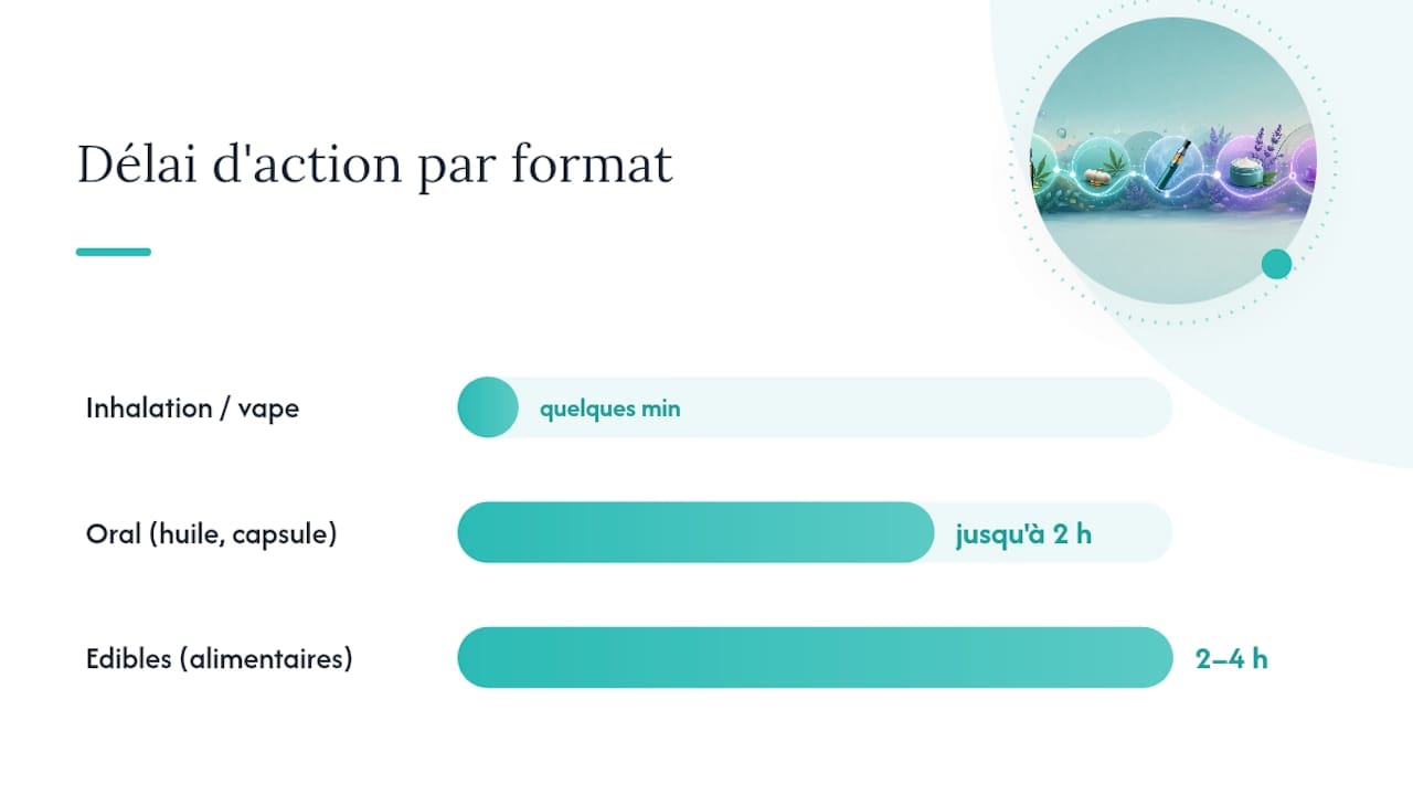 Huile, capsule, topique ou vape : quelle forme choisir selon votre douleur ? — overview diagram