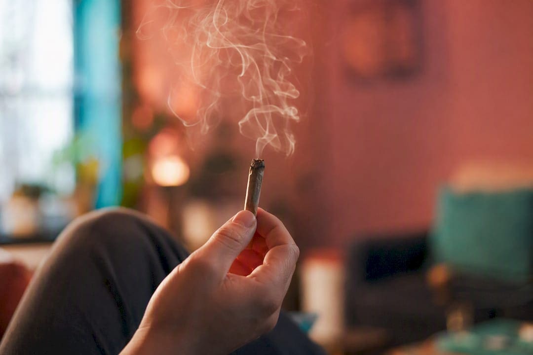 Cannabis smoke curling from lit joint