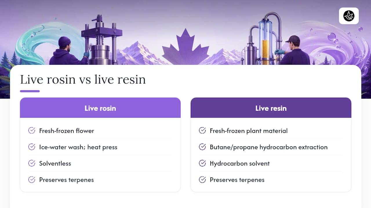 Live rosin and resin extraction paths