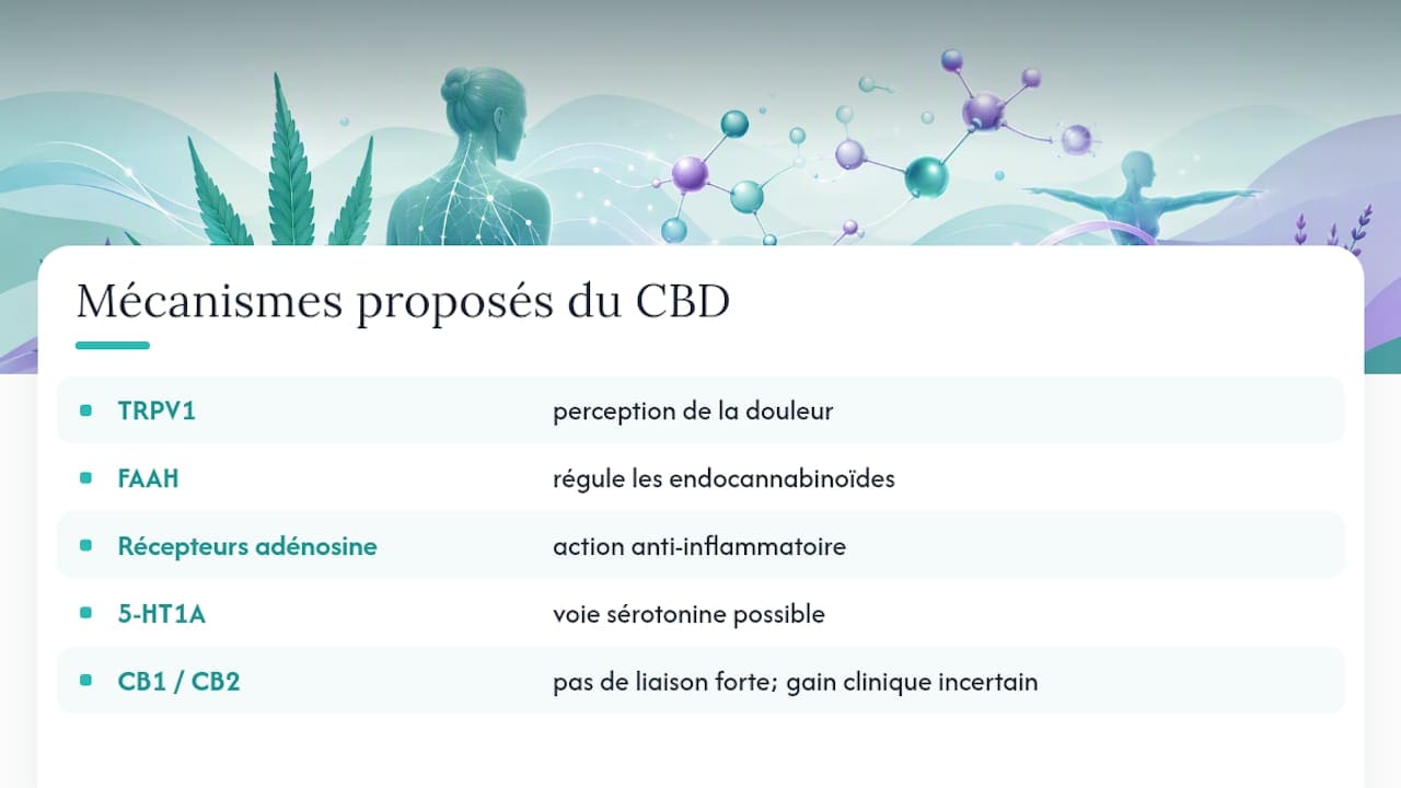 Biomarqueurs étudiés pour le CBD