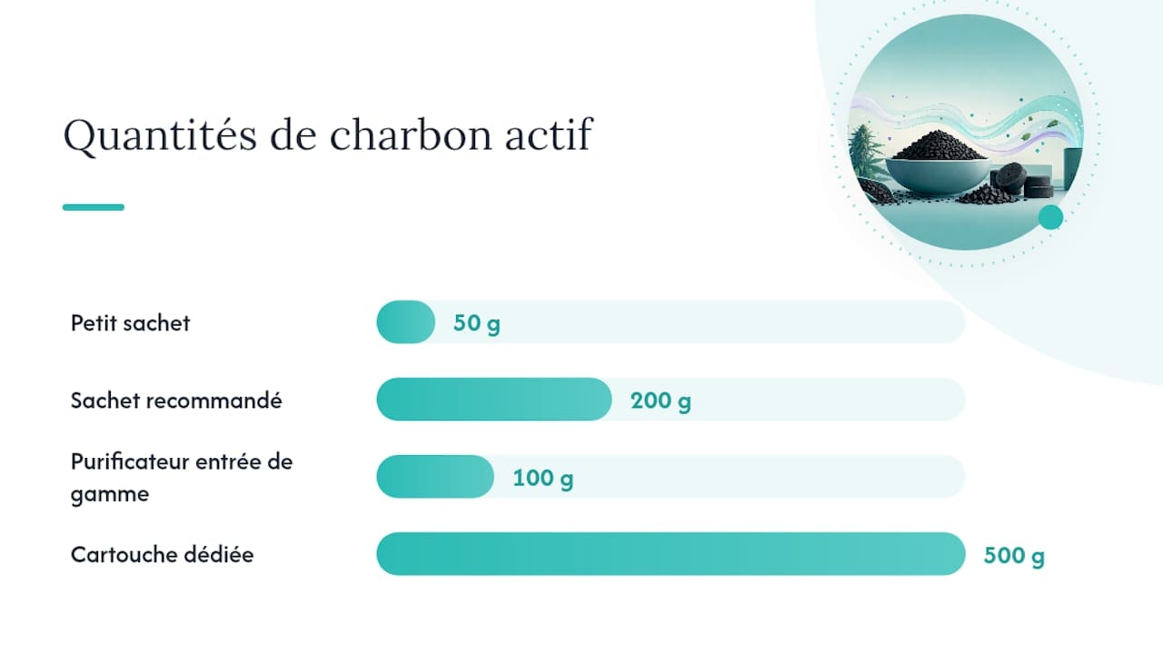 Sachets de charbon, purificateurs et sprays : bien choisir ses produits — overview diagram