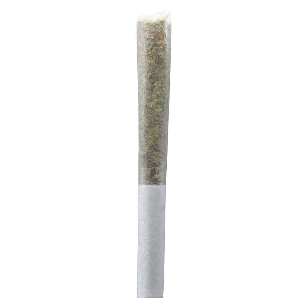 Permanent Gusher Pre-Rolls 10 Pack