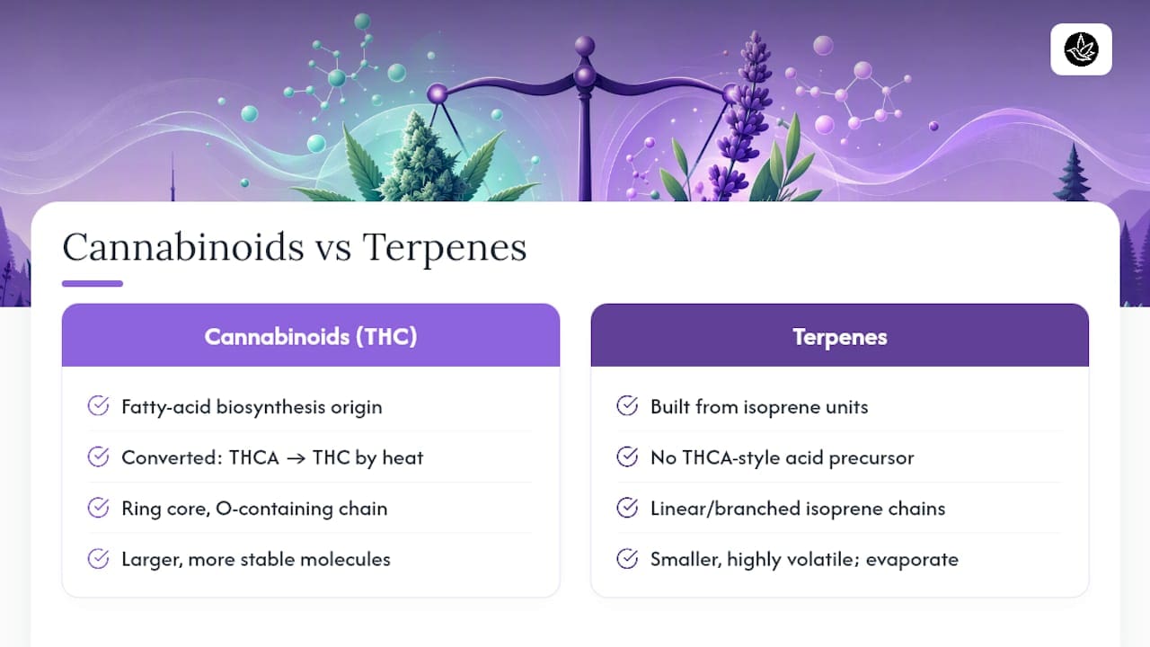 Separate THC and terpene chemical pathways