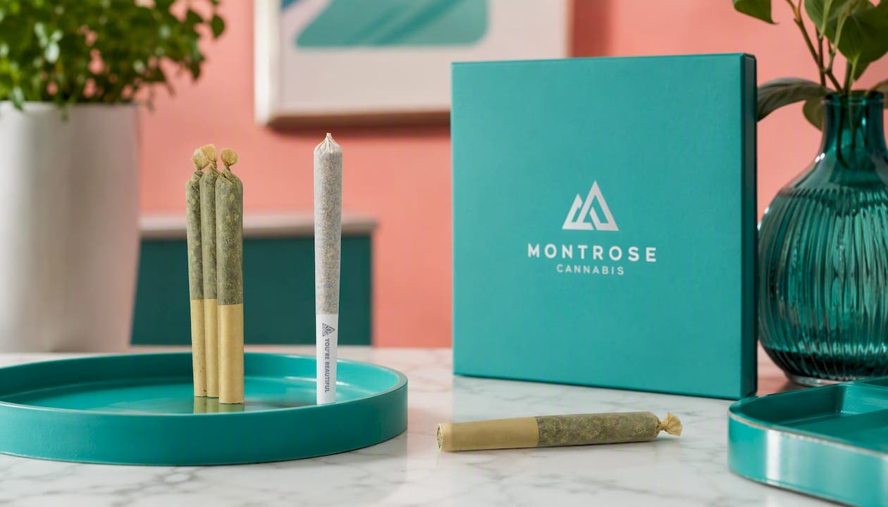 BC Organic Dancehall Pre-Rolls 3 Pack