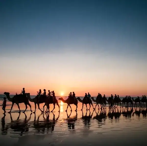 Sunset Safari: Experience a Gentle Camel Ride near Agadir