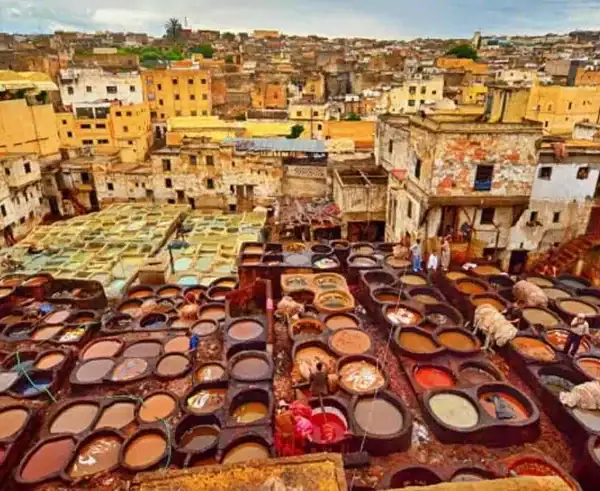 Step Back in Time: Book Your Fes Medina Walking Tour