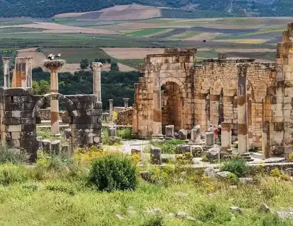 Ancient Wonders: Book Your Moulay Idriss & Volubilis Day Tour from Fes