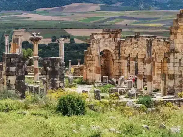 Ancient Wonders: Book Your Moulay Idriss & Volubilis Day Tour from Fes