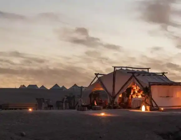 Cultural Evening: Dinner Show with Gnaoua Music