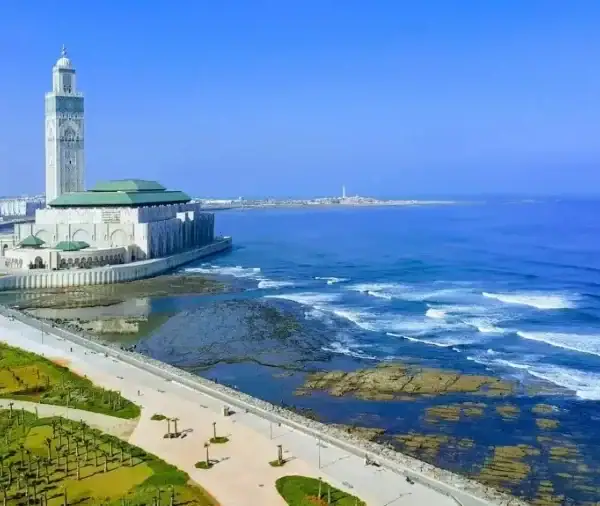 11 Days Grand Morocco Tour from Casablanca: Coast to Sahara to Imperial Cities
