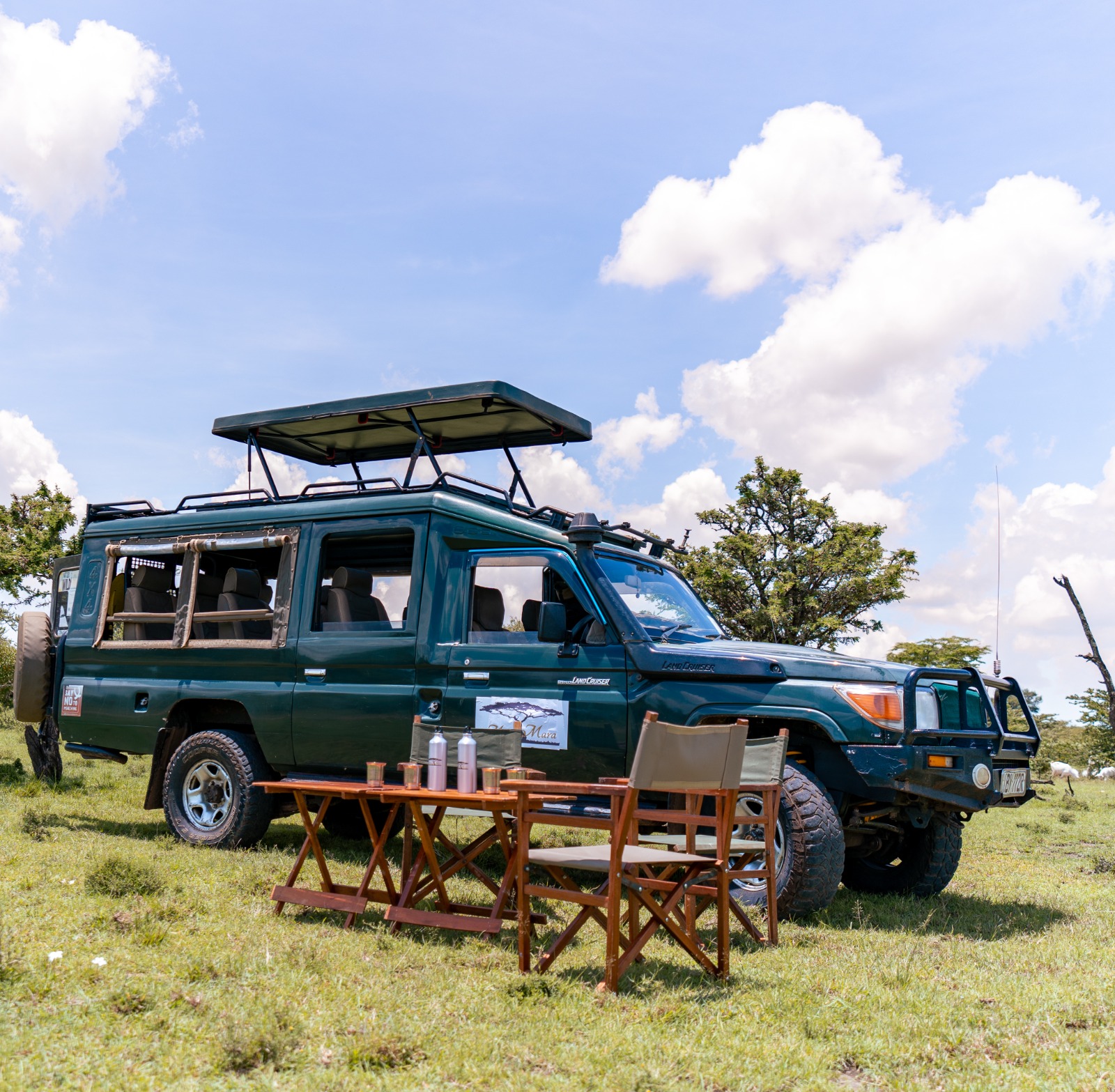 Safari experience in Kenya