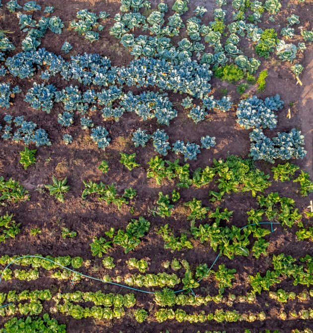 DJI_0458