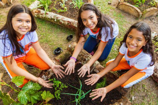Curso gratuito prepara educadores para levar o plantio às escolas