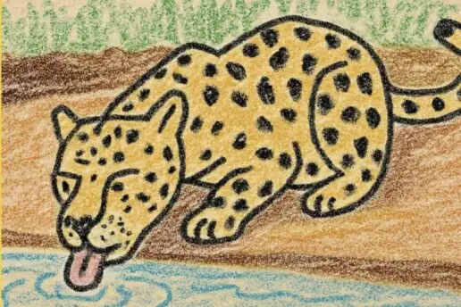 Concurso de Desenho Infantil Onça-Pintada – Ciência & Arte 2025