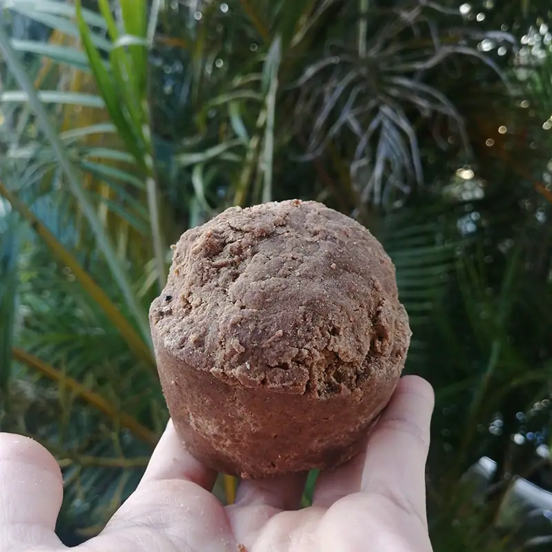 Reetha & Shikakai shampoo