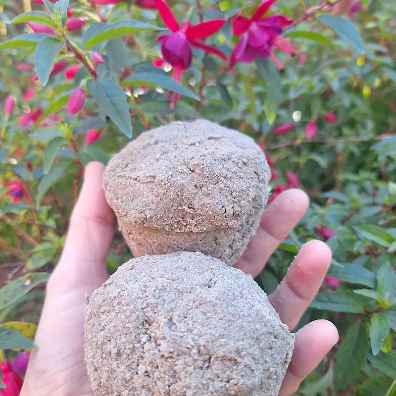 Second image of Rassoul & Rosemary Shampoo