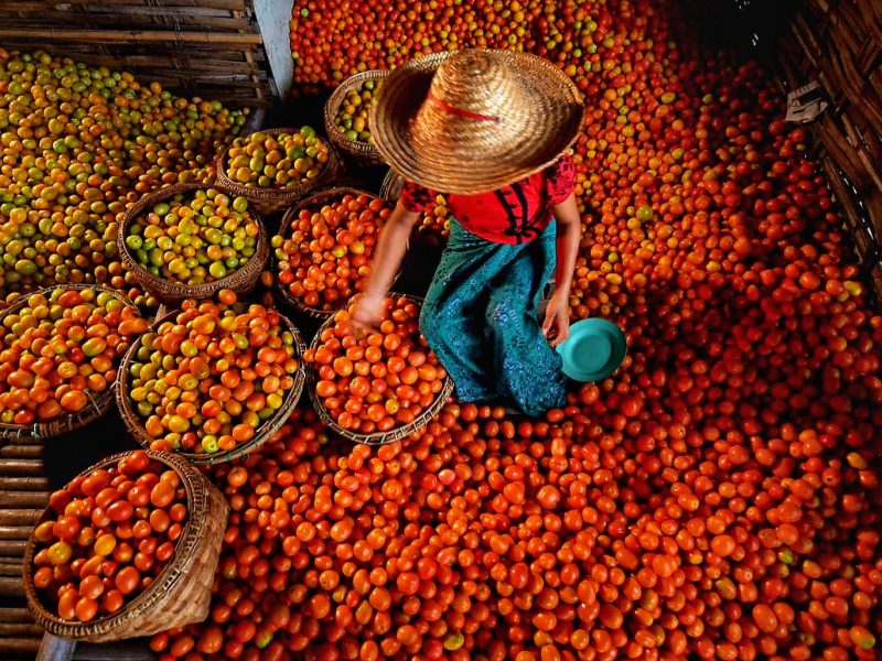 Photo Tour Myanmar - Photography - Shalom