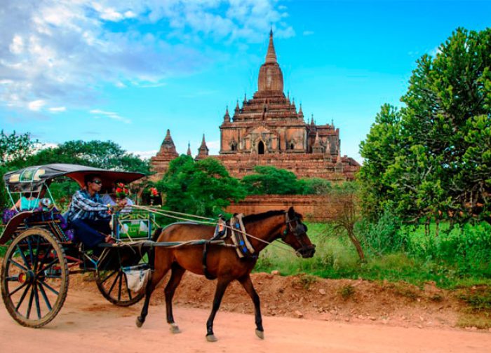 horse-cart-trip