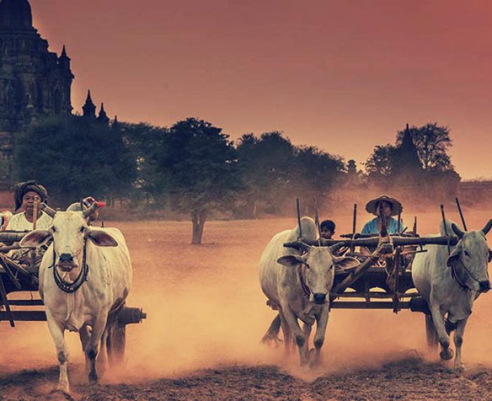 Bagan