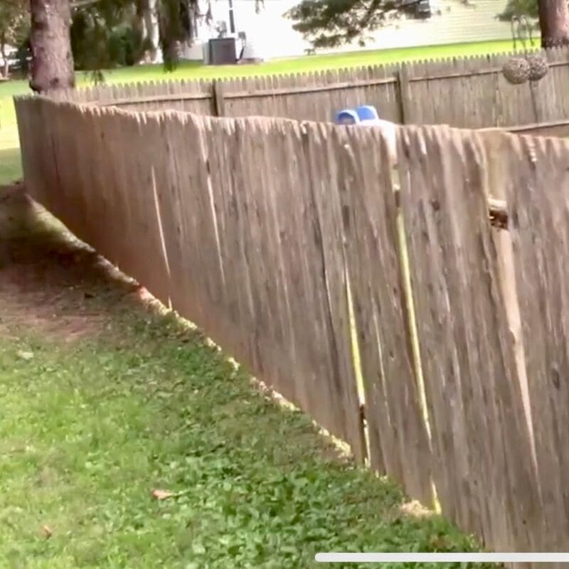 5B54C39A CD36 47F5 8033 FDCE83664E21 How to Replacing Fence Panels on Old Fence Posts MyFixitUpLife MyFixitUpLife