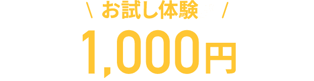 お試し体験が1,000円！（税込）