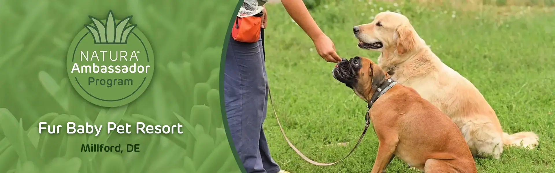 Ambassador-Header_FurBaby